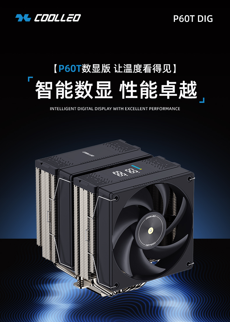 P60T-DIG